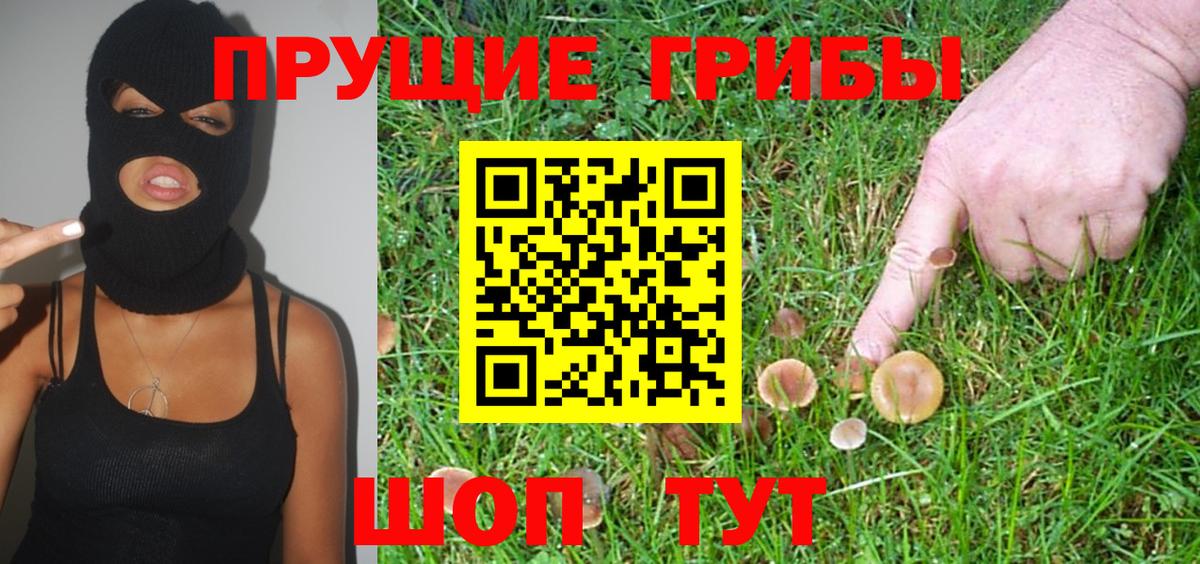Псилоцибиновые грибы GOLDEN TEACHER  Вход с VPN  Муром  Псилоцибиновые грибы Magic Shrooms 